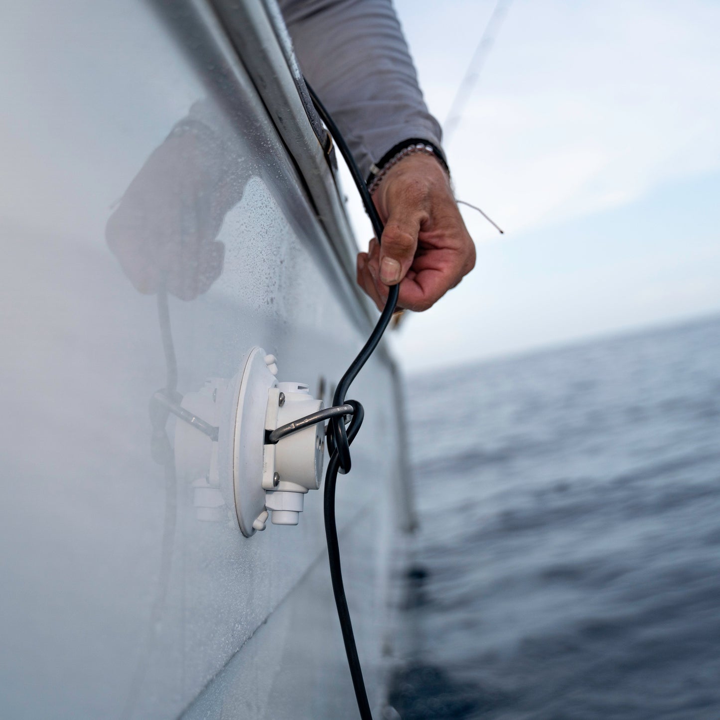 SeaSucker 11 cm met roestvrijs talen D-ring