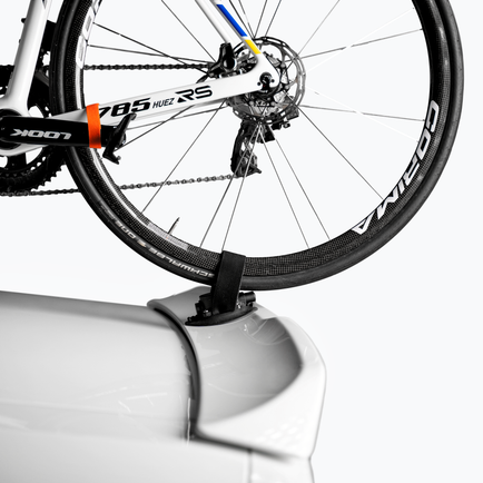 Compact Hinterradhalter