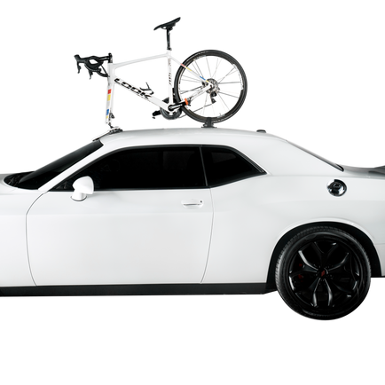 ZWEI-PACK: Talon Fahrradträger für 1
